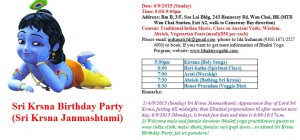 krishna birthday party_english