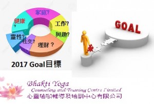 new2017 goal sheet