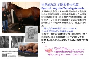 律動瑜珈班_訓練動物表現篇 Dynamic Yoga for Training Animals